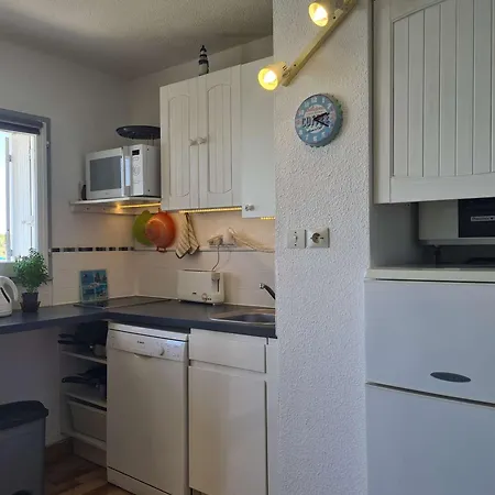 Apartmán Appartement T2 Avec Cabine, 4 Couchages, Vue Port, Parking, Pres Plage - Fr-1-249-414